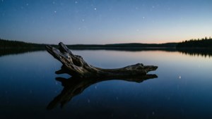 Floating Driftwood Lake