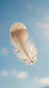 Floating Feather
