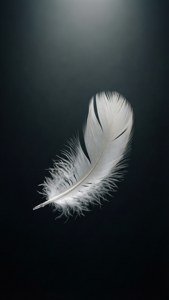 Floating Feather