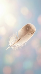 Floating Feather Dream