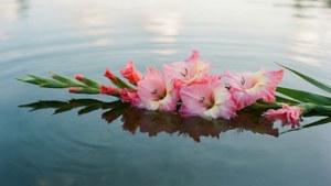 Floating Gladiolus Reverie