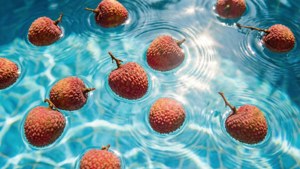 Floating Litchi Pool