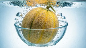 Floating Melon Bowl