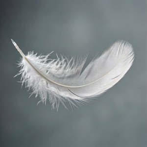 Floating White Feather