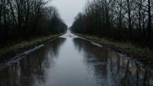 Flooded Path Reflections