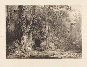 Flooding in the Forest of the Ile Séguin