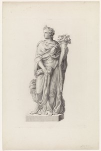 Flora