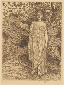 Flora