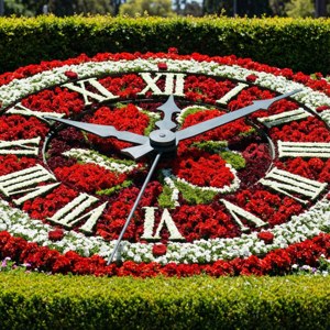 Floral Clock Detail