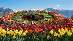Floral Clock Splendor