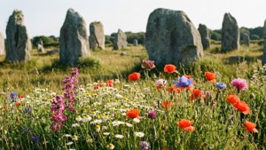 Floral Fields
