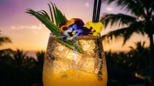 Floral Fizz