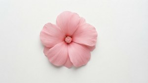 Floral Minimal