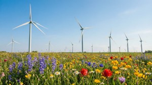 Floral Wind Harvest