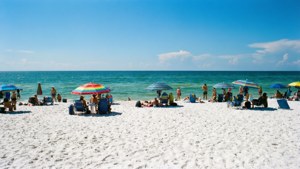 Florida Beach Bliss