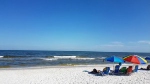Florida Beach Bliss