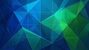 Flow Geometry