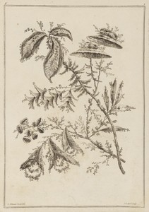 Flower Bough