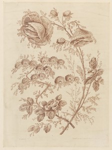 Flower Bough, from "Cahier de Fleurs Singuliers"