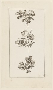 Flower Boughs, from "Divers Bouquets d'Aprés Nature"