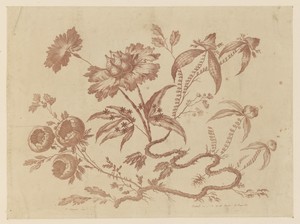 Flower Boughs, from "Recueil de Differentes Fleurs de Fantaisie Dans le Goût Chinois"