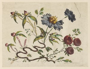 Flower Boughs, from "Recueil de Differentes Fleurs de Fantaisie Dans le Goût Chinois"