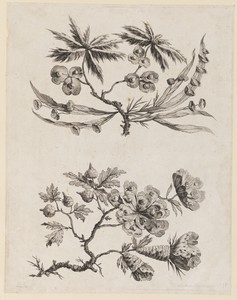 Flower Boughs from, "Recueil de Fleurs Chinois"