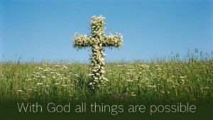 Flower Cross Field