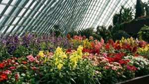 Flower Dome Abundance