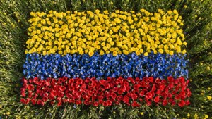 Flower Field Flag