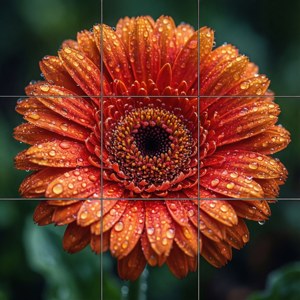 Flower Macro Grid