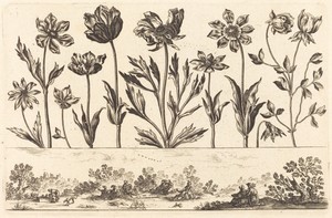 Flower Print no.1