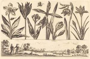 Flower Print no.4