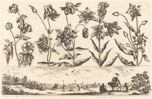Flower Print no.6