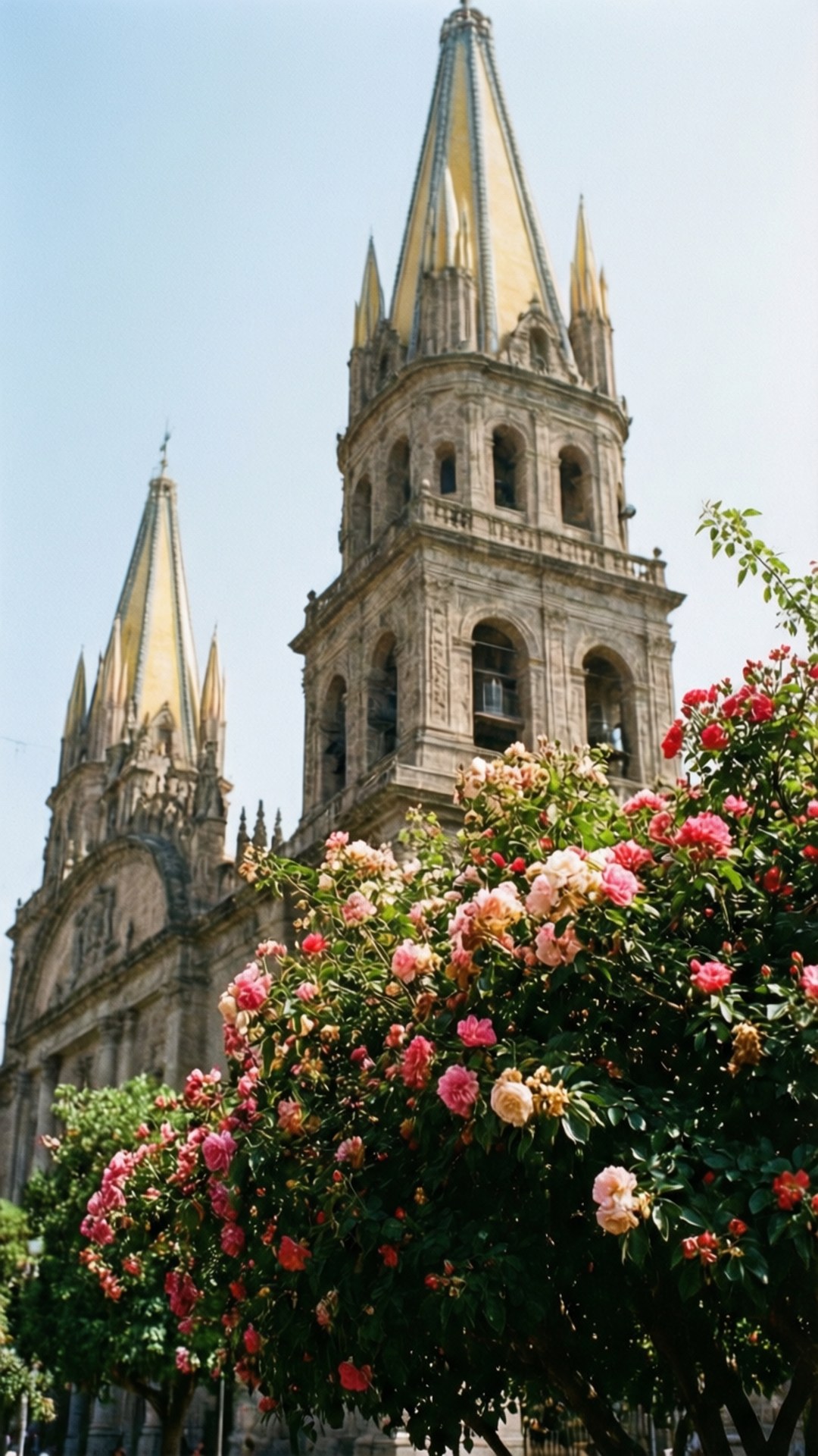 Flowers and Cathedral by Wallpapers.art Studio