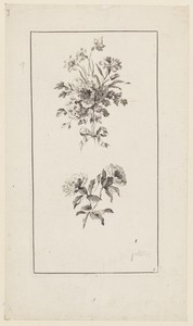 Flowers Boughs, from "Divers Bouquets d'Aprés Nature"