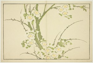 Flowers, from The Picture Book of Realistic Paintings of Hokusai (Hokusai shashin gafu)