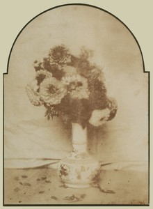 [Flowers in a Vase]