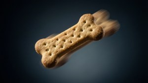 Flying Bone