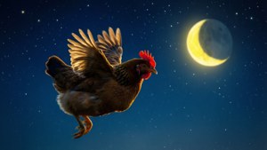 Flying Chicken