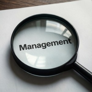 Focus on Management
