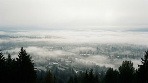 Fog Over Coquitlam