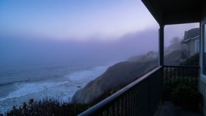 Foggy California Cliffside