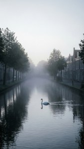 Foggy Canal Morning