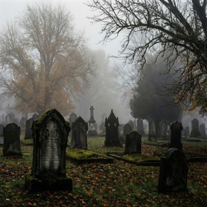 Foggy Cemetery