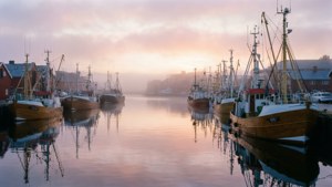 Foggy Dawn at Harbor