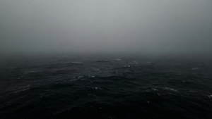 Foggy Depths