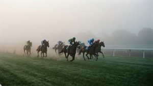 Foggy Derby