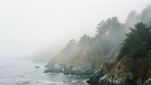 Foggy Ethereal Coast
