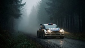 Foggy Forest Run